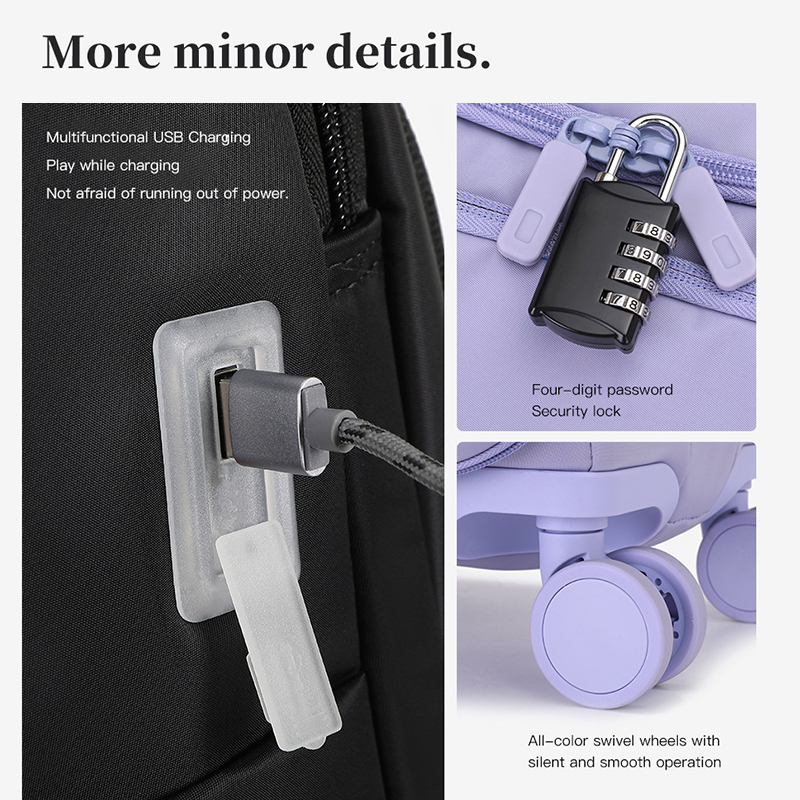 Handbagage voor dames, 20 inch - Travel Lock Tsa Approved recensie en prijs