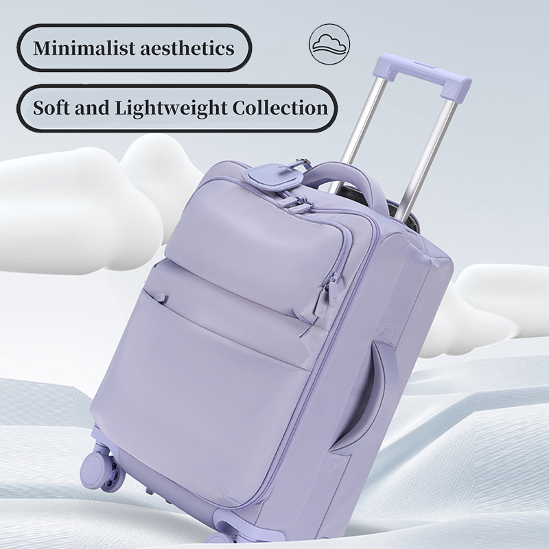 Handbagage voor dames, 20 inch - Travel Lock Tsa Approved recensie en prijs